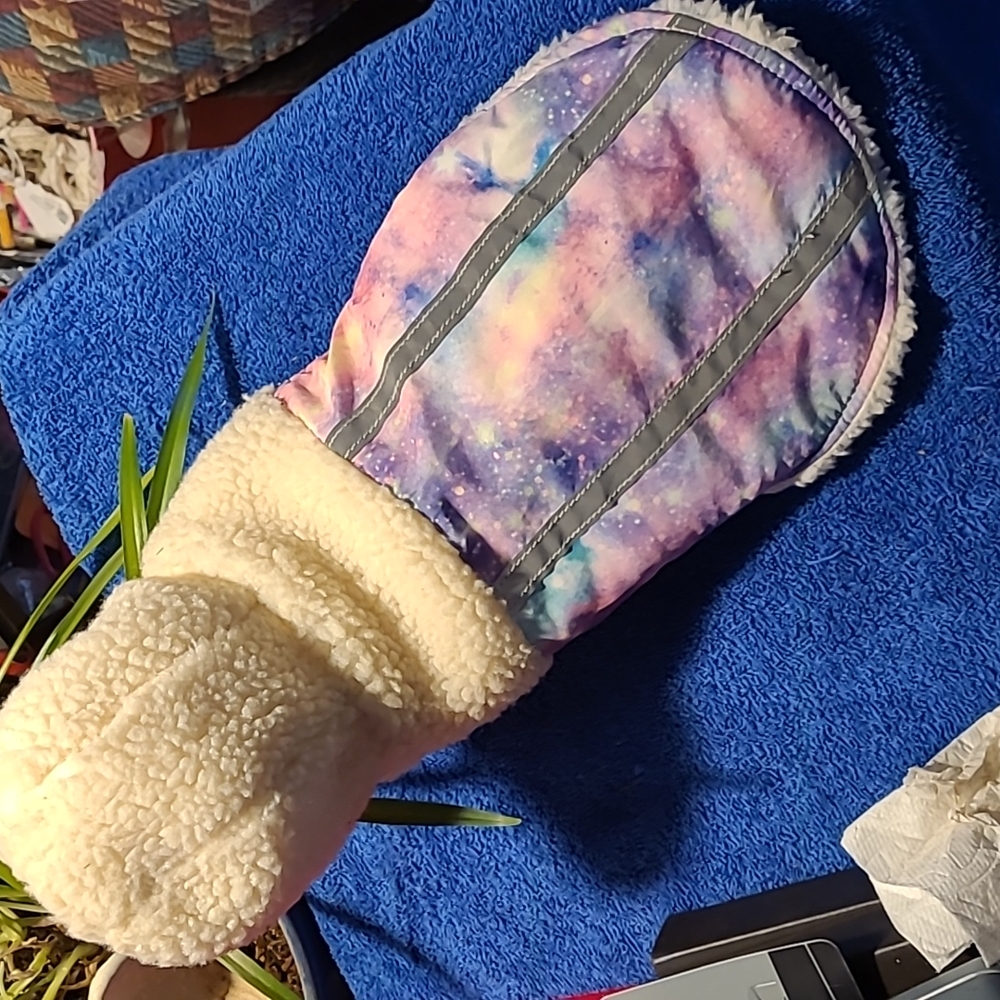 Small dog jacket